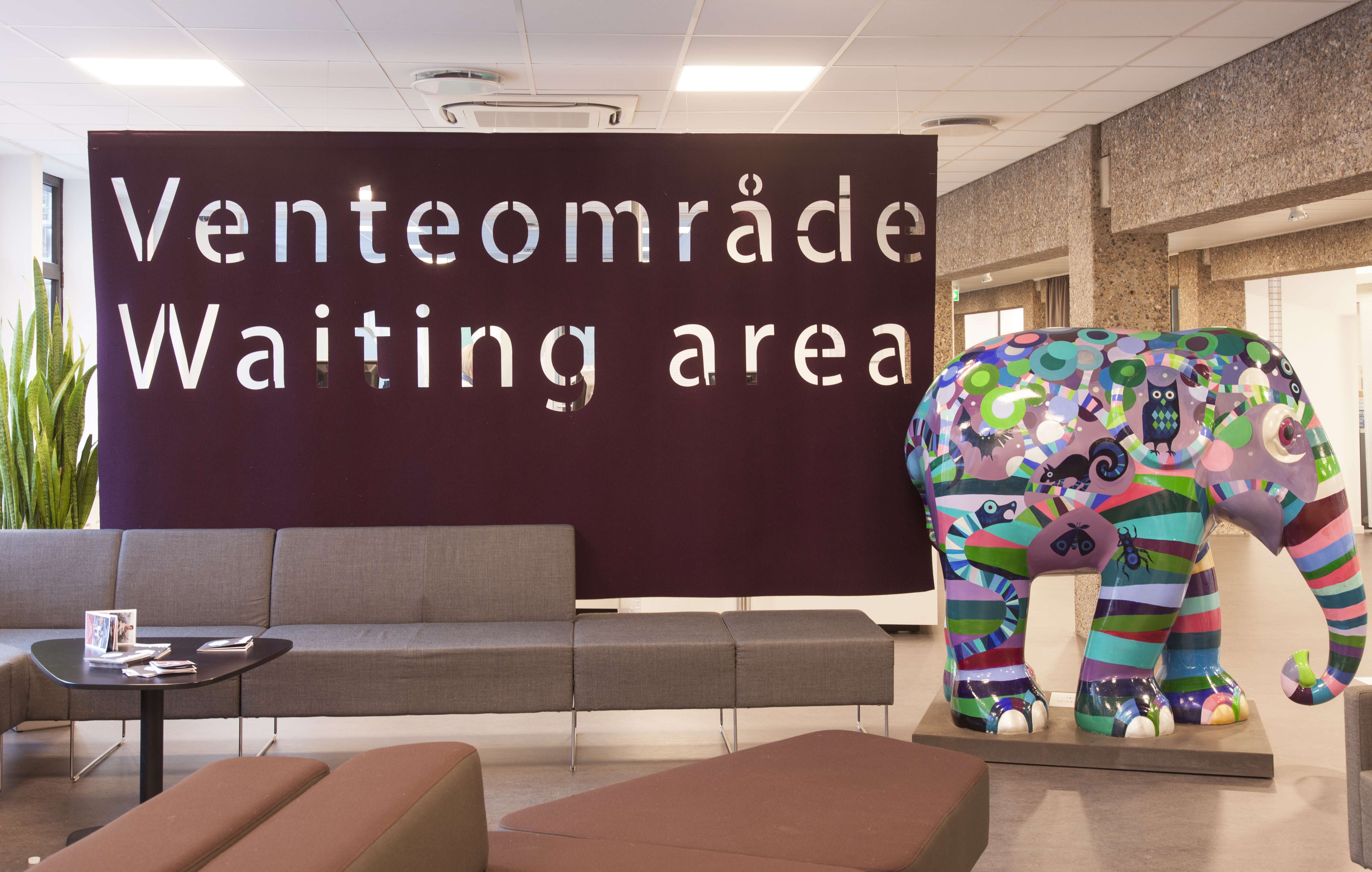 CoverSingle rumafskærmning i filt ophængt med wire (1)